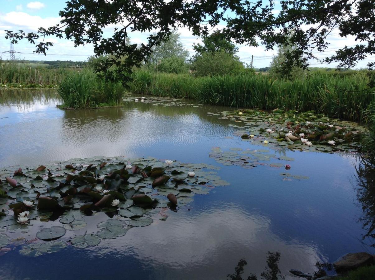 Orchard Cottage, Clematis Cottages, Stamford. Accessible Luxury Home. Luaran gambar