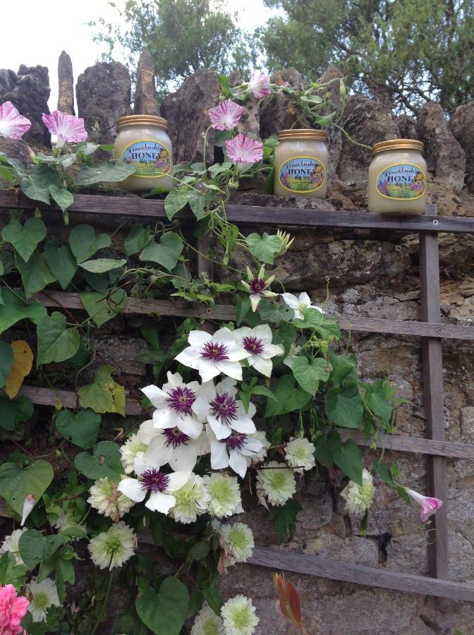 Orchard Cottage, Clematis Cottages, Stamford. Accessible Luxury Home. Luaran gambar